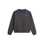 THE NORTH FACE Majica grafit