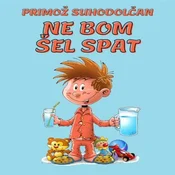 AUDIBOOK Avdio knjiga: Ne bom šel spat