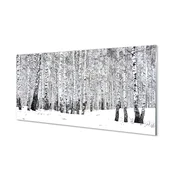 tulup.si Stenska plošča za kuhinjo Zimske breze 100x50 cm