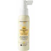 Biofficina Toscana Cronocosmesi Day Energising Face Mist