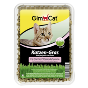Gimcat Soft-Gras - aromatizovana trava za mačke 100g