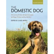 Domestic Dog