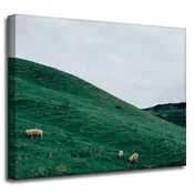 shumee Platno Naravni pašnik v gorah 50x40