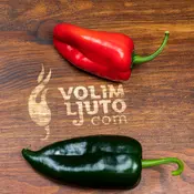 Poblano – Sjemenke chili papricica