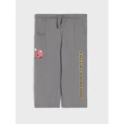 Sinsay - Pantalone Cars - tamno siva