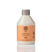 B&R Energetski šampon za jacanje kose 300 ml
