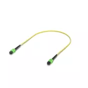 UACC-OFC-SA-MPMP-0.5M-10