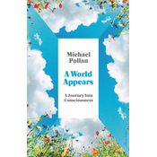 World Appears: Exploring the Labyrinth of Consciousness