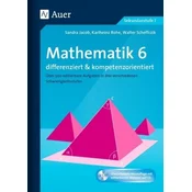 Mathematik 6 differenziert und kompetenzorientiert, m. CD-ROM