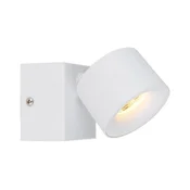 Globo LED-REFLEKTOR RAE  3000 K