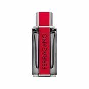 Salvatore Ferragamo Ferragamo Red Leather Eau de Parfum 100 ml
