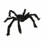 Velikanski pajek - 60 cm