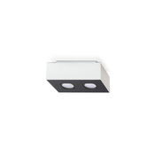 Stropna svetilka MONO 2 2xGU10/40W/230V