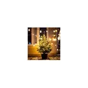 Brilagi - LED spoljašnja girlanda 10xLED/3xAA 3,2m IP44 topla bela