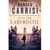 Into the Labyrinth