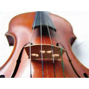 DOMINANT STRUNA ZA VIOLINO E 130 1/2