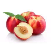 NEKTARINA DOMACA