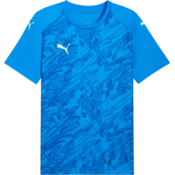 Puma Dres teamFINAL Graphic