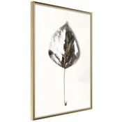 Poster - Silvery Leaf 20x30