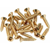 Fender Pickguard/Control Plate Mounting Screws Gold 24 Pack