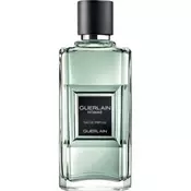 Guerlain Guerlain Homme parfemska voda za muškarce 100 ml