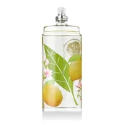 Elizabeth Arden Green Tea Citron Freesia 100 ml toaletna voda tester za ženske
