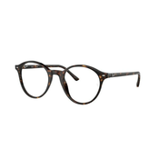 Ray-Ban RX5430 2012