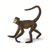Safari Kapucínka