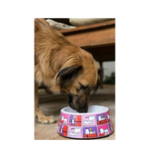Snoopy Cinija Film Color Pink melamin L 1070ml