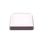 Iris Lighting PLSUS-12W stropi LED panel,  četverokut, 12W, 820lm, 4000K
