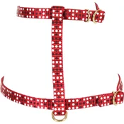 546137RGE Zolux Macke Am Colorful 10mm Crvena