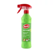REAL proti plesni 550g
