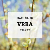 Bachove kapljice 38, Vrba - Willow, 10 ml