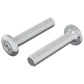 Vidaxl Vijak za zaklep glave 2 szt. srebrna M6 x 30 mm Jeklo