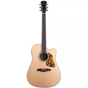 Levinson LDC 45 Missouri Cutaway