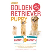 Your Golden Retriever Puppy Month by Month