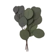 Stabiliziran evkaliptus Populus - zelena/4 stebla, 20 cm