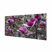 tulup.si Slika na akrilnem steklu Vijolična magnolija 120x60 cm 2 obešalnika