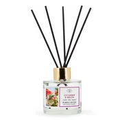 Northix Difuzor Reed 100 ml v steklu - dolgo obstojen vonj