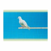 VARJENA OGRAJNA MREŽA DIRICKX ARAVIS 0.8X10X1000 ROLA=25M ZN