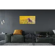tulup.si Slika na akrilnem steklu Lov mačka 120x60 cm 4 obešalnika