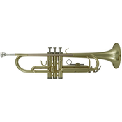ROY BENSON BB trobenta TR-101