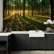 Foto tapeta - Spring: Morning in the Forest 500x350 Vodootporna