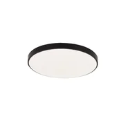 Ideus Črna stropna svetilka 12W LED DOWBOR IP44 4000K NW 1420lm 04331