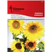 Seme sončnica-mešanica
