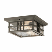 Elstead Lighting ZUNANJA STROPNA SVETILKA