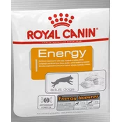 ROYAL CANIN Energy nagrada za usposabljanje - Varčno pakiranje: 4 x 50 g