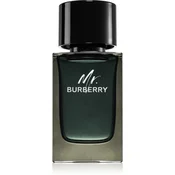 Burberry Mr. Burberry parfumska voda 100 ml za moške