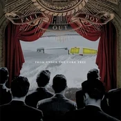 Fall Out Boy - From Under The Cork Tree (Reissue) (LP)