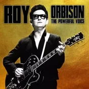 posneti mediji ORBISON R. - LP/THE POWERFUL VOICE, (21601351)